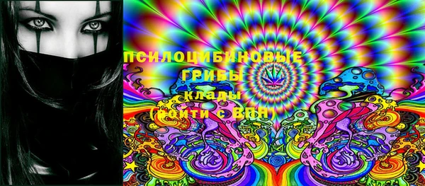 спиды Осташков