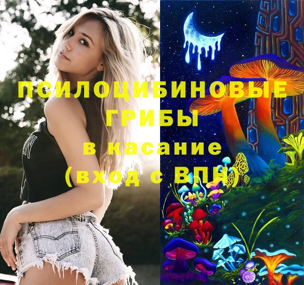 спиды Осташков